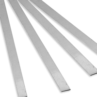 uae/images/productimages/al-shabib-trading-est/stainless-steel-strip/stainless-steel-strip.webp