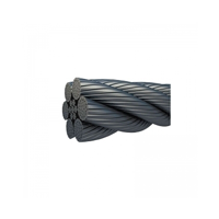 uae/images/productimages/husaini-brothers-(llc)/wire-rope/wire-rope-steel-core.webp