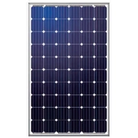 uae/images/productimages/radiant-solar-dmcc/solar-cell-module/monocrystalline-solar-pv-module-5-bb-60-cells-as-6m30.webp