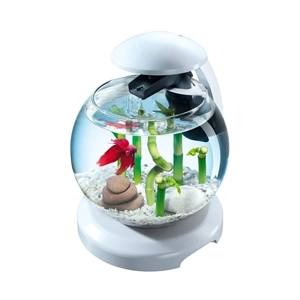 uae/images/productimages/acrylic-gallery-display-products-llc/aquarium/acrylic-aquariums.webp