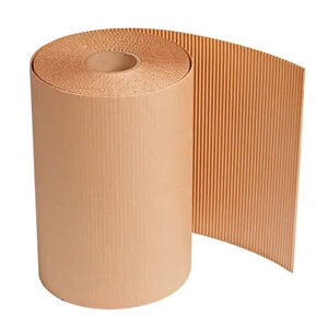 Cardboard Roll
