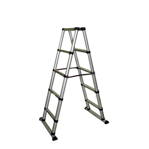 Two Way Ladder
