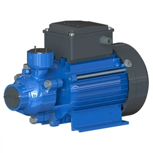 uae/images/productimages/ansons-electromechanical-works/water-pump/azure-domestic-pumps.webp