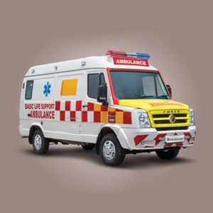 uae/images/productimages/belhasa-motors-company-llc/ambulance/force-basic-life-support-ambulance-type-c.webp
