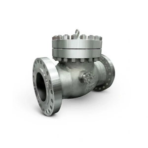 uae/images/productimages/champions-technical-supplies-trading-fze/check-valve/1-2-to-12-inch-swing-check-valve.webp