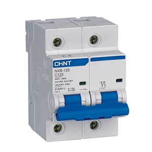 uae/images/productimages/chint-middle-east-and-africa-dmcc/circuit-breaker/nxb-125-moulded-case-circuit-breaker.webp