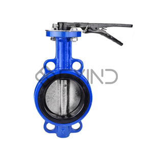 uae/images/productimages/defaultimages/noimageproducts/butterfly-valve.webp