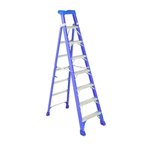 One Way Ladder