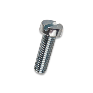 Slotted Screw