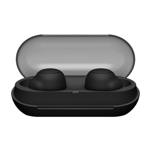 uae/images/productimages/digital-future-solutions/mobile-earphone/sony-wf-c500-earbud-black-1.webp