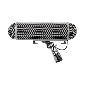 Windshield Microphone