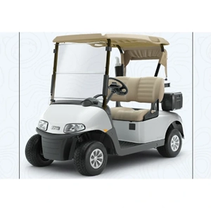 uae/images/productimages/eazy-tech-electric-car-trading-llc/golf-cart/h102-2-seats-small-box-golf-cart.webp