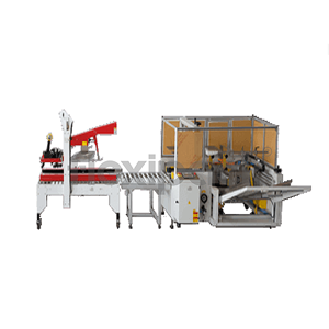 uae/images/productimages/flexipack-packing-and-packaging-equipment-trading-llc/sealing-machine/automatic-carton-erector-and-carton-sealing-machine-500-x-500-mm-220-v.webp