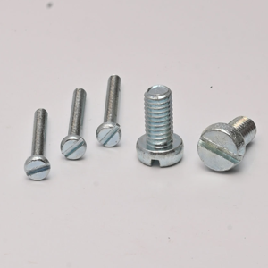 Slotted Screw