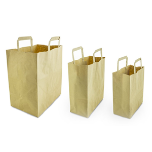 uae/images/productimages/gulf-east-paper-and-plastic-industries-llc/paper-bag/paper-bag-recycled-w8.5carr.webp