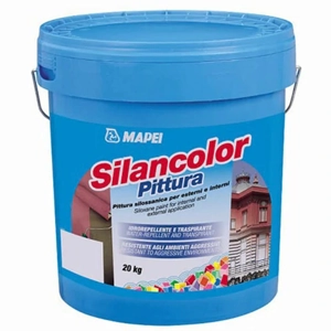 Silicone Paint