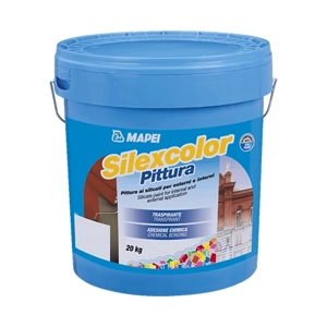 Silicone Paint