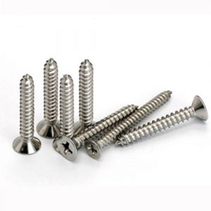uae/images/productimages/maritime-city-technical-trading-company-llc/tapping-screw/ss-316-self-tapping-screw-csk-head.webp