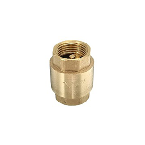 uae/images/productimages/murtuza-shabbir-trading-llc/check-valve/brass-bronze-spring-check-valve-2-6-inch.webp