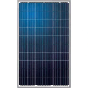 uae/images/productimages/radiant-solar-dmcc/solar-cell-module/polycrystalline-solar-pv-module-5-bb-60-cells-as-6p30.webp