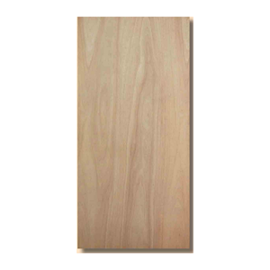 uae/images/productimages/sm-&-rahmani-building-materials-trading-llc/wooden-door/ordinary-plywood-door-without-frame.webp
