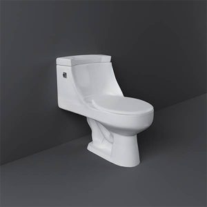 uae/images/productimages/starwell-middle-east-general-trading-llc/water-closet/rak-oasis-oa04awha.webp