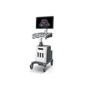 uae/images/productimages/thaaha-medical-equipment-trading-llc/medical-ultrasound/mindray-dc-30-full-hd-ultrasound-system-with-convex-transvaginal-probes.webp