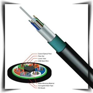 uae/images/productimages/tmt-global-technology-ltd/electric-cable/multi-mode-indoor-outdoor-armored-fiber-optic-cable-om2-12core.webp